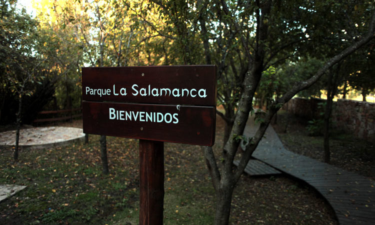 La Salamanca